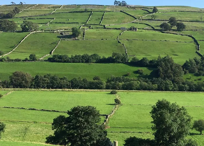 度假居 2 Bed In Row Oc-ds059